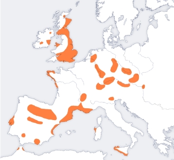 Bell Beaker Folk map